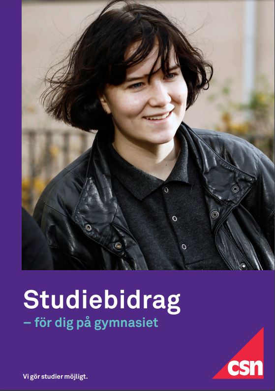 dejtingsajter utomlands csn