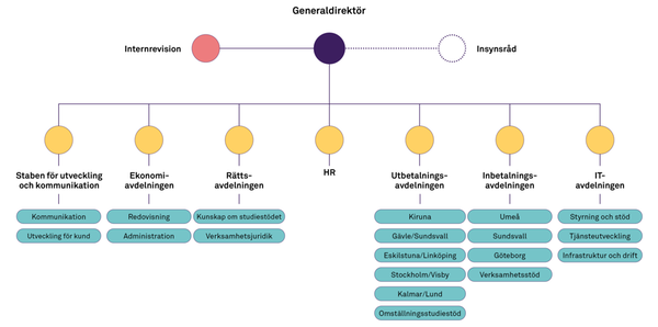 Organisationsbild över CSN med internrevision och insynsråd jämte generaldirektören. Generaldirektören ansvarar för sju avdelningar; staben för utveckling och kommunikation, ekonomiavdelningen, rättsavdelningen, HR, utbetalningsavdelningen, inbetalningsavdelningen samt it-avdelningen. 